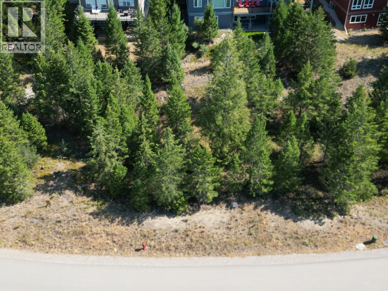 7062 White Tail Lane Lot# 18, Radium Hot Springs, British Columbia  V0A 1M0 - Photo 4 - 10370798