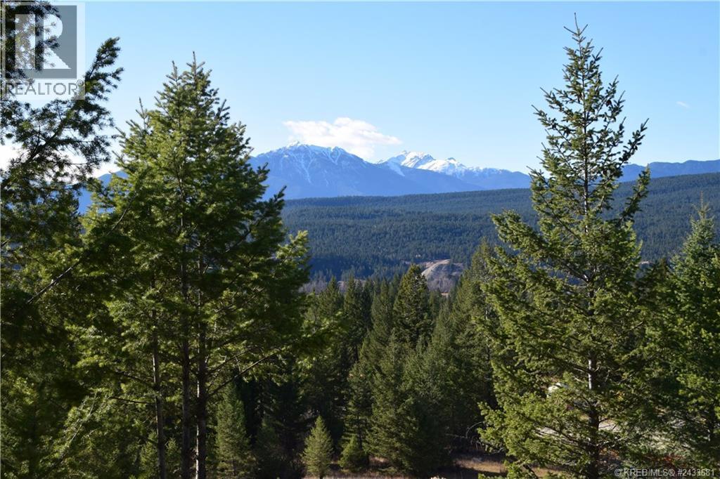 7045 White Tail Lane Lot# 24, Radium Hot Springs, British Columbia  V0A 1M0 - Photo 6 - 10370888