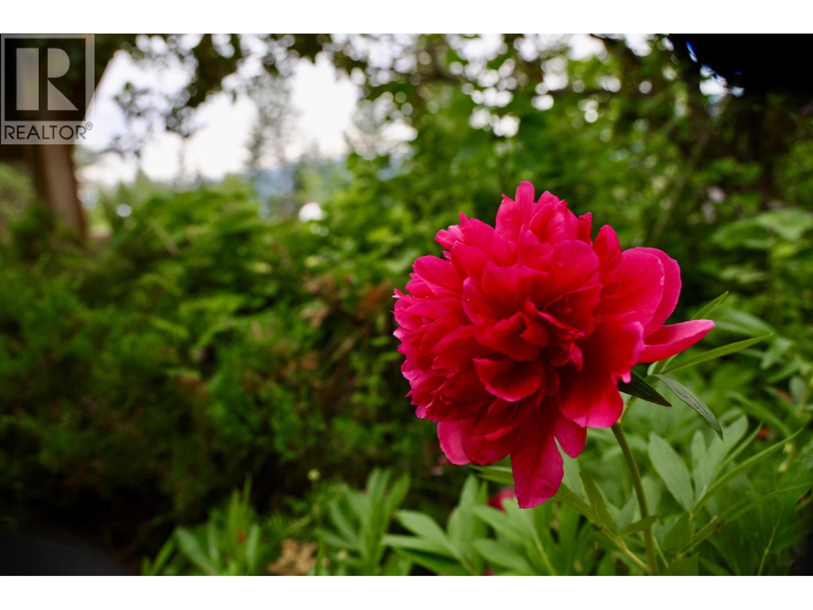 1529 Quartz Crescent, Golden, British Columbia  V0A 1H1 - Photo 58 - 10371627