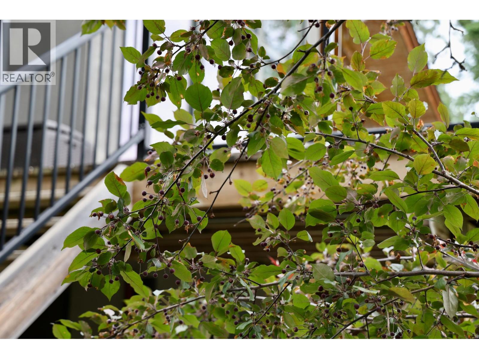 1529 Quartz Crescent, Golden, British Columbia  V0A 1H1 - Photo 59 - 10371627