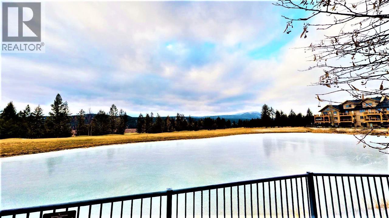 400 Bighorn Boulevard Unit# 416 D, Radium Hot Springs, British Columbia  V0A 1M0 - Photo 44 - 10371616