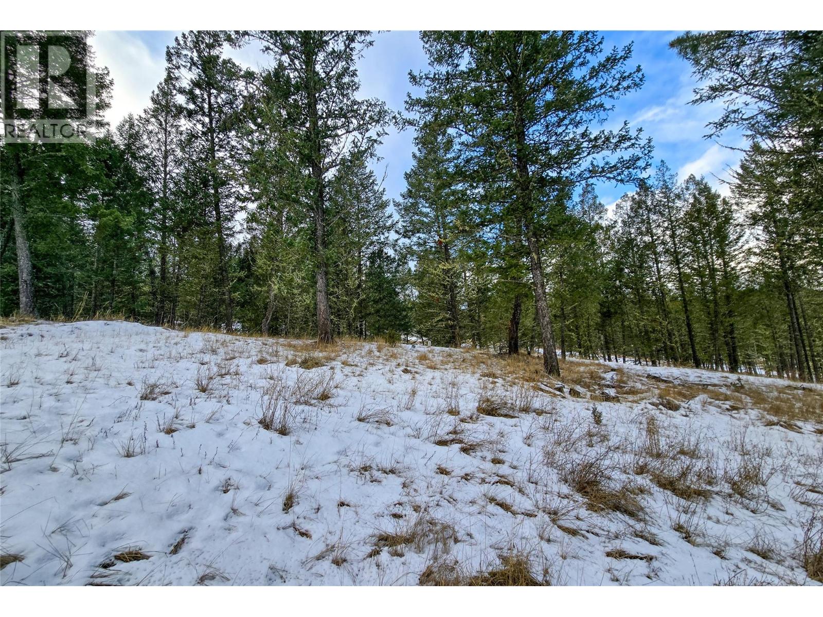 2454 Castlestone Drive, Invermere, British Columbia  V0A 1K6 - Photo 6 - 10372385