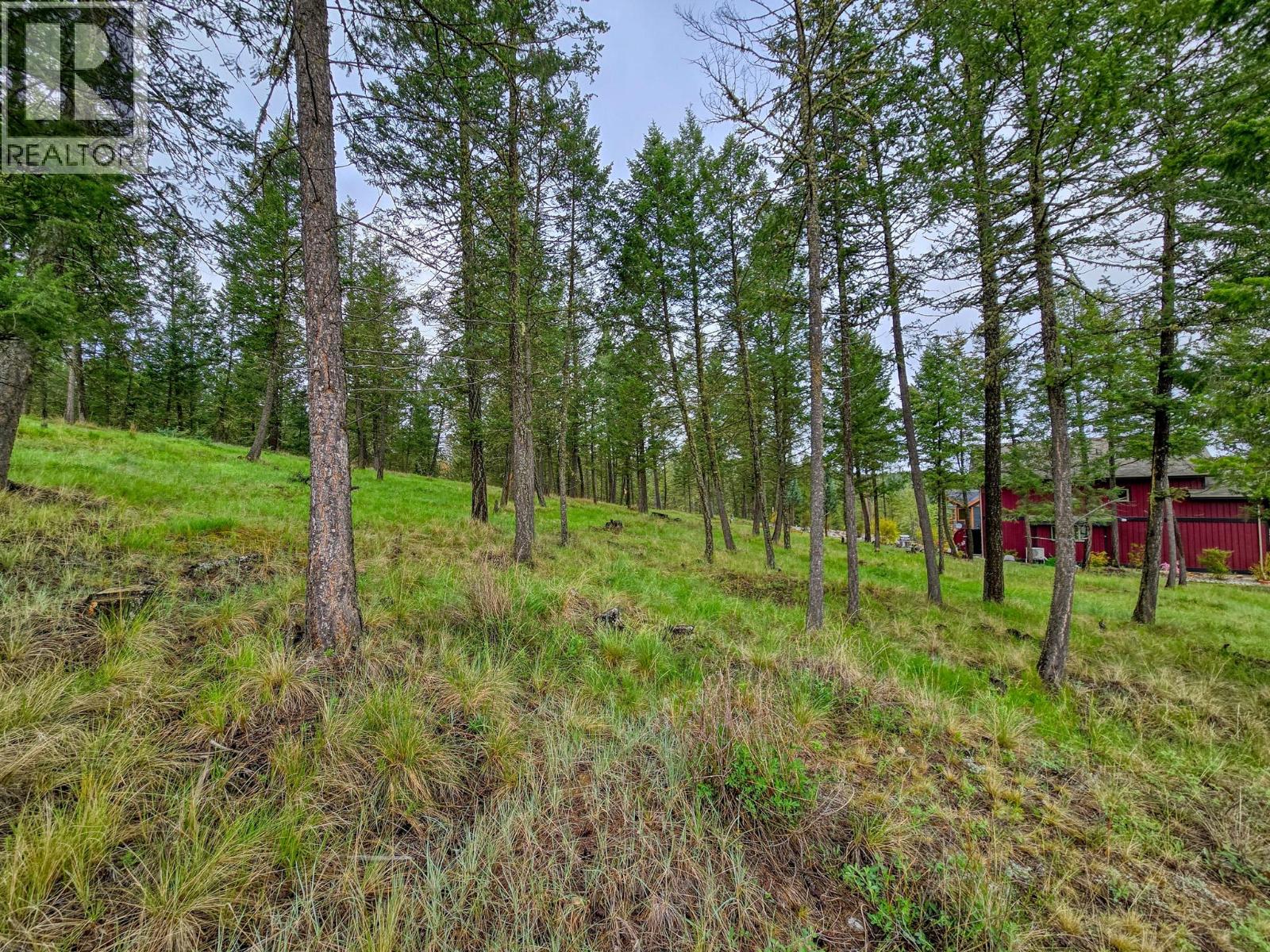 2454 Castlestone Drive, Invermere, British Columbia  V0A 1K6 - Photo 9 - 10372385