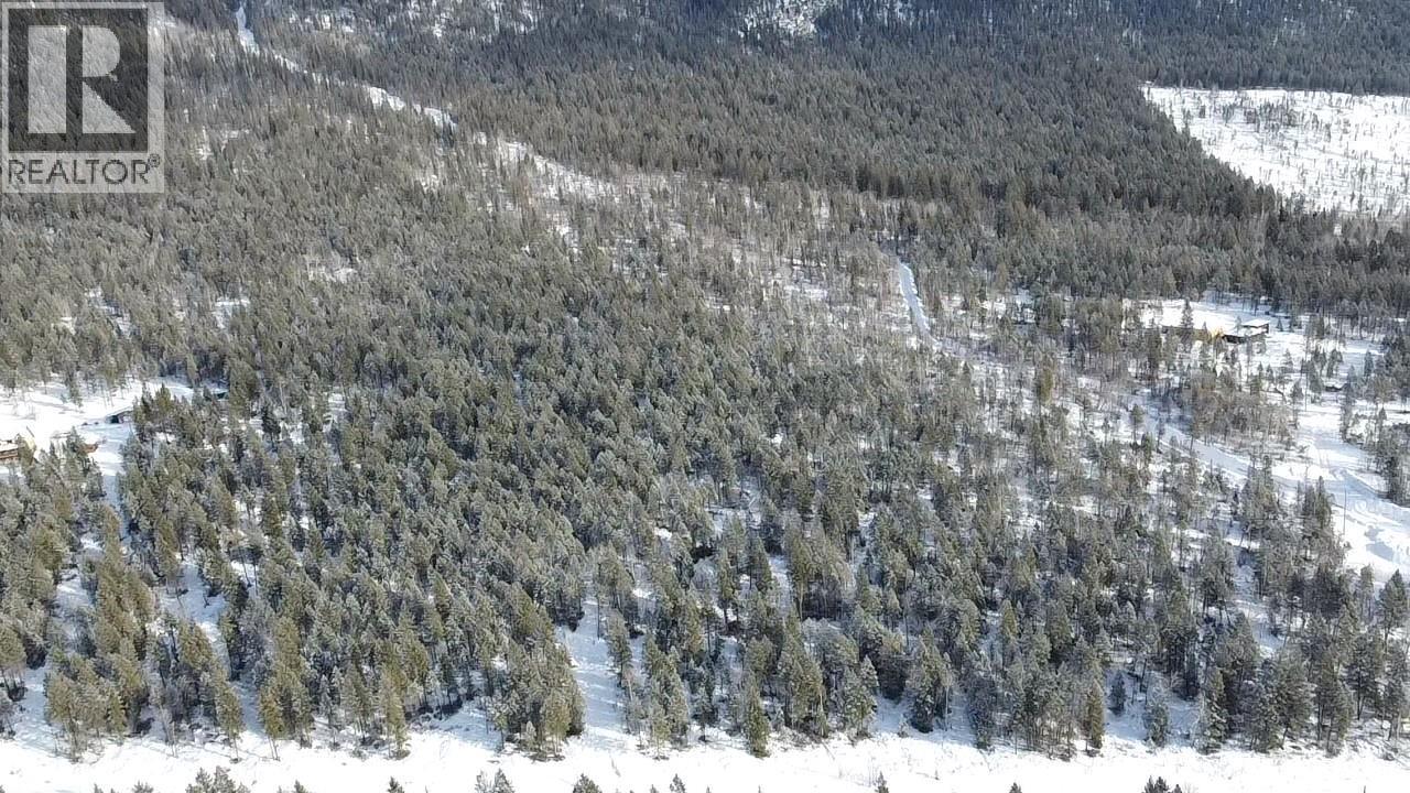 Lot 4 Hewitt Road, Edgewater, British Columbia  V0A 1E0 - Photo 3 - 10372452