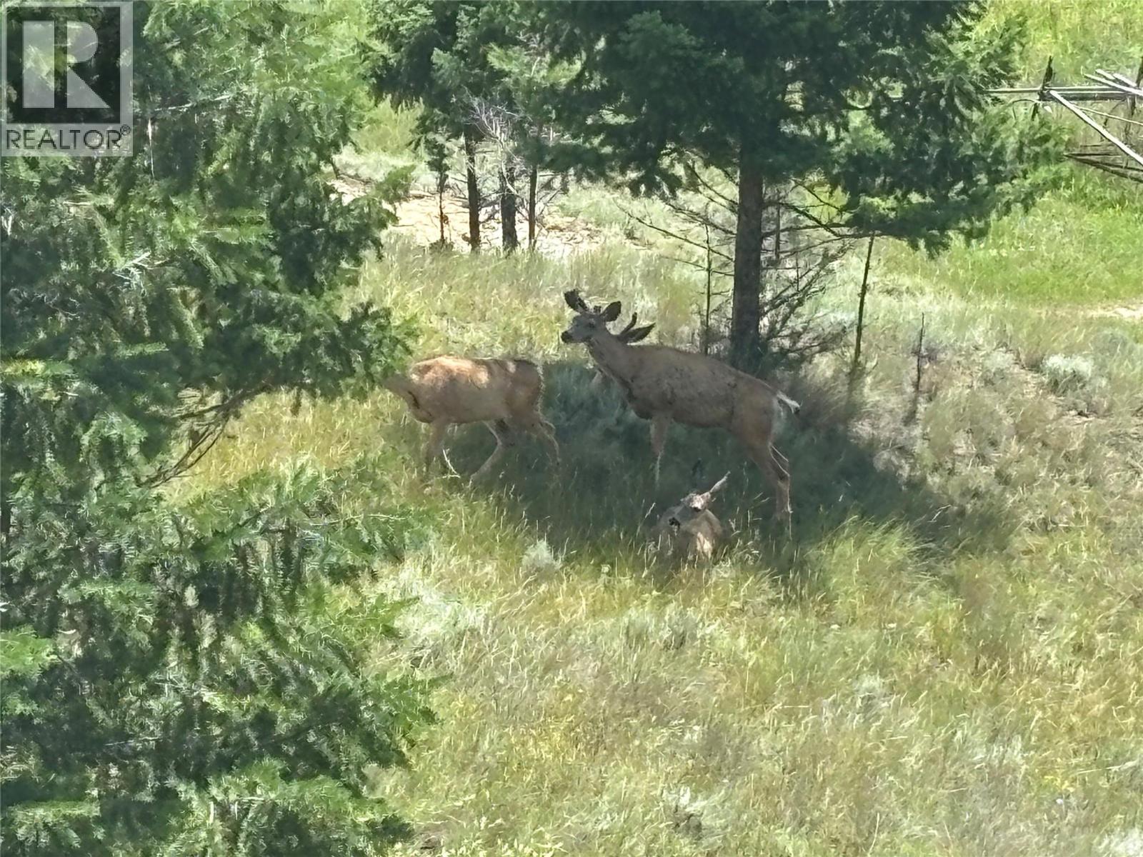 4868 Riverview Drive Unit# 40, Edgewater, British Columbia  V0A 1E0 - Photo 14 - 10372458