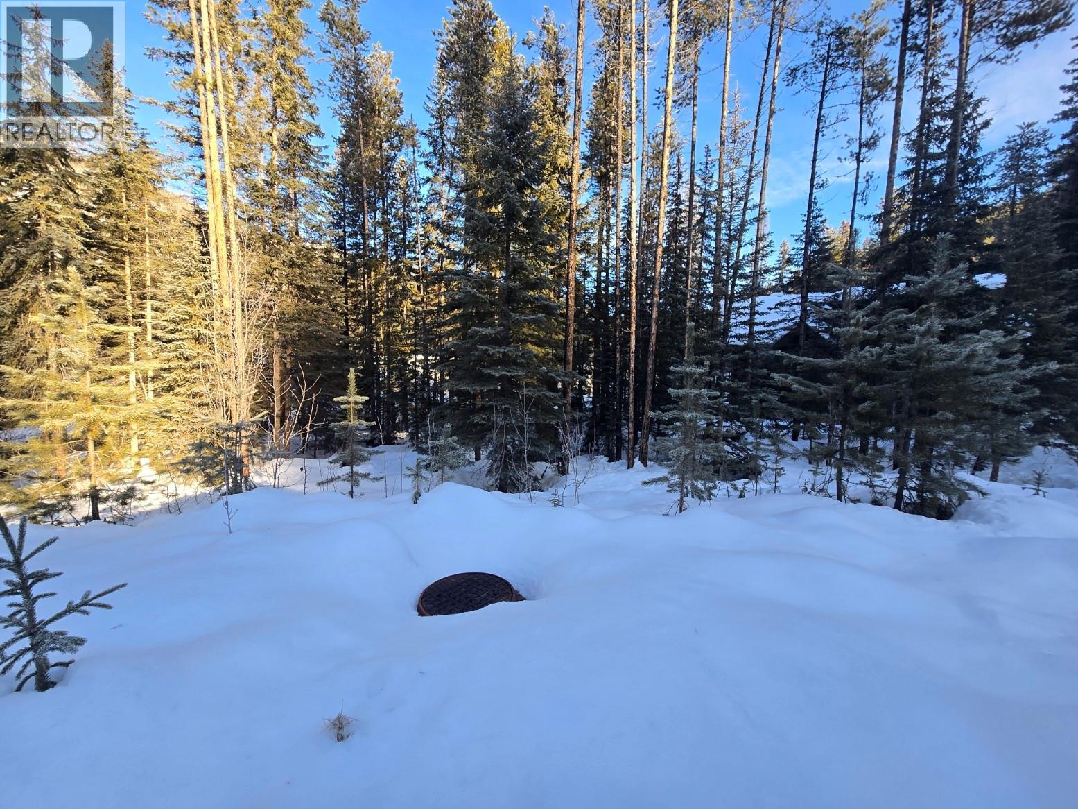 Creekside Crescent, Panorama, British Columbia  V0A 1T0 - Photo 10 - 10373020