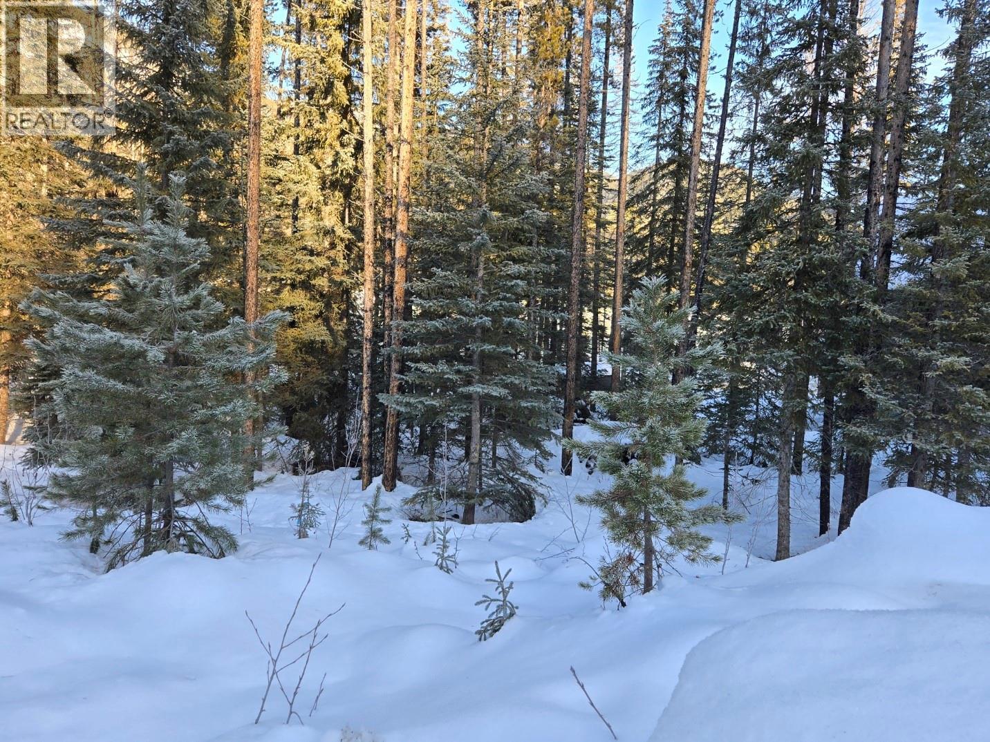 Creekside Crescent, Panorama, British Columbia  V0A 1T0 - Photo 11 - 10373020