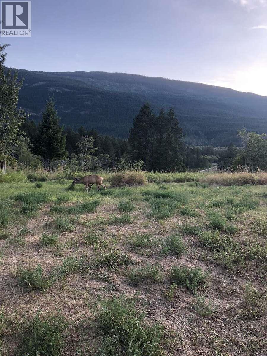 4764 Riverview Drive, Edgewater, British Columbia  V0A 1E0 - Photo 21 - 10373276