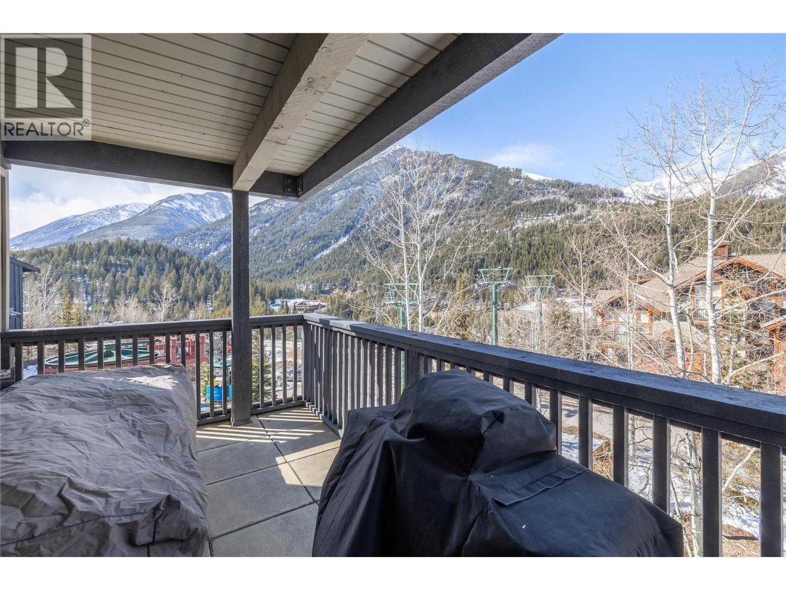 2050 Summit Drive Unit# 202, Panorama, British Columbia  V0A 1T0 - Photo 21 - 10373605