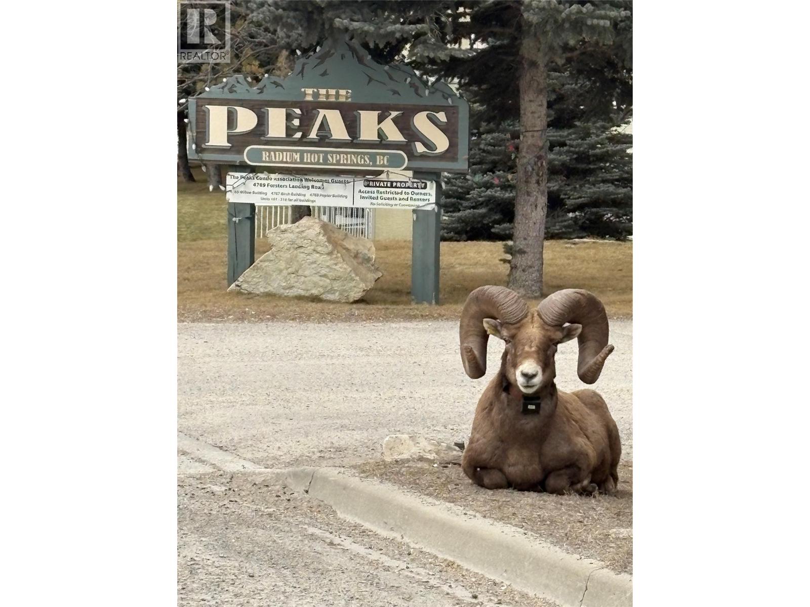 4769 Forsters Landing Road Unit# 209, Radium Hot Springs, British Columbia  V0A 1M0 - Photo 2 - 10373708