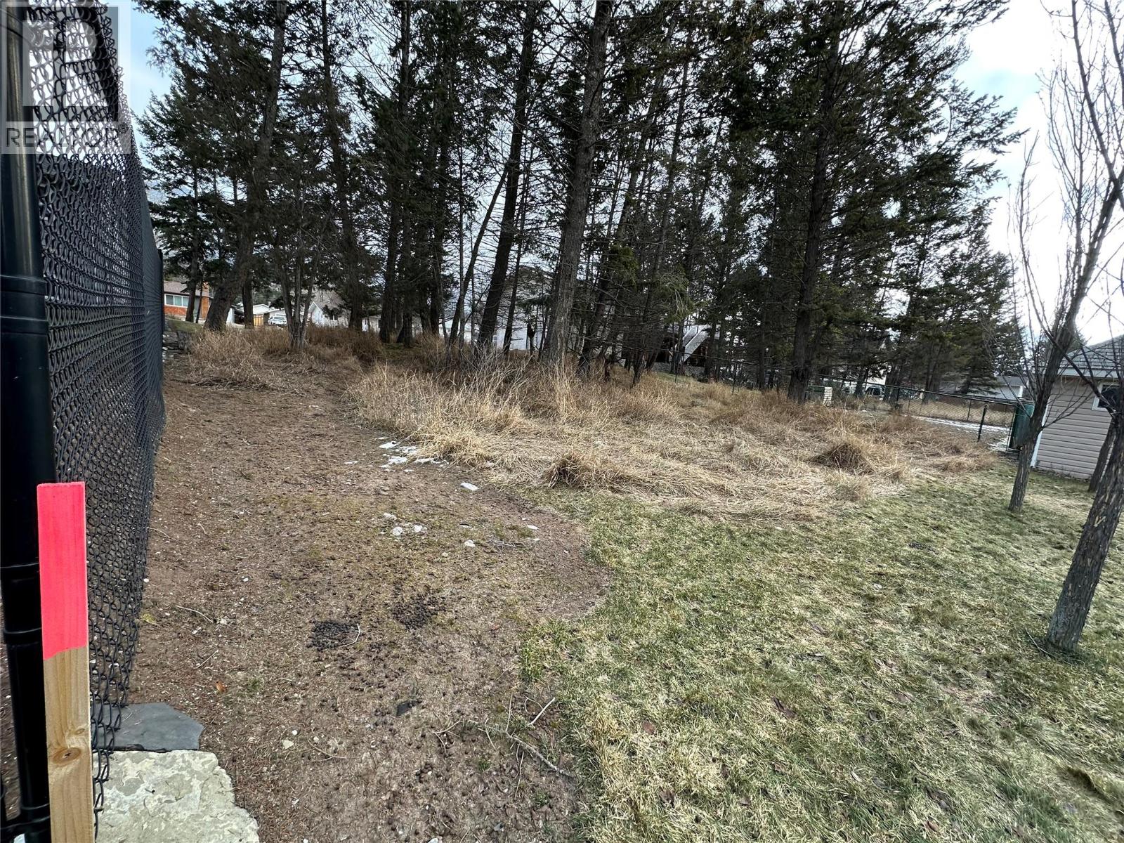 7495 Jackson Avenue, Radium Hot Springs, British Columbia  V0A 1M0 - Photo 4 - 10373781