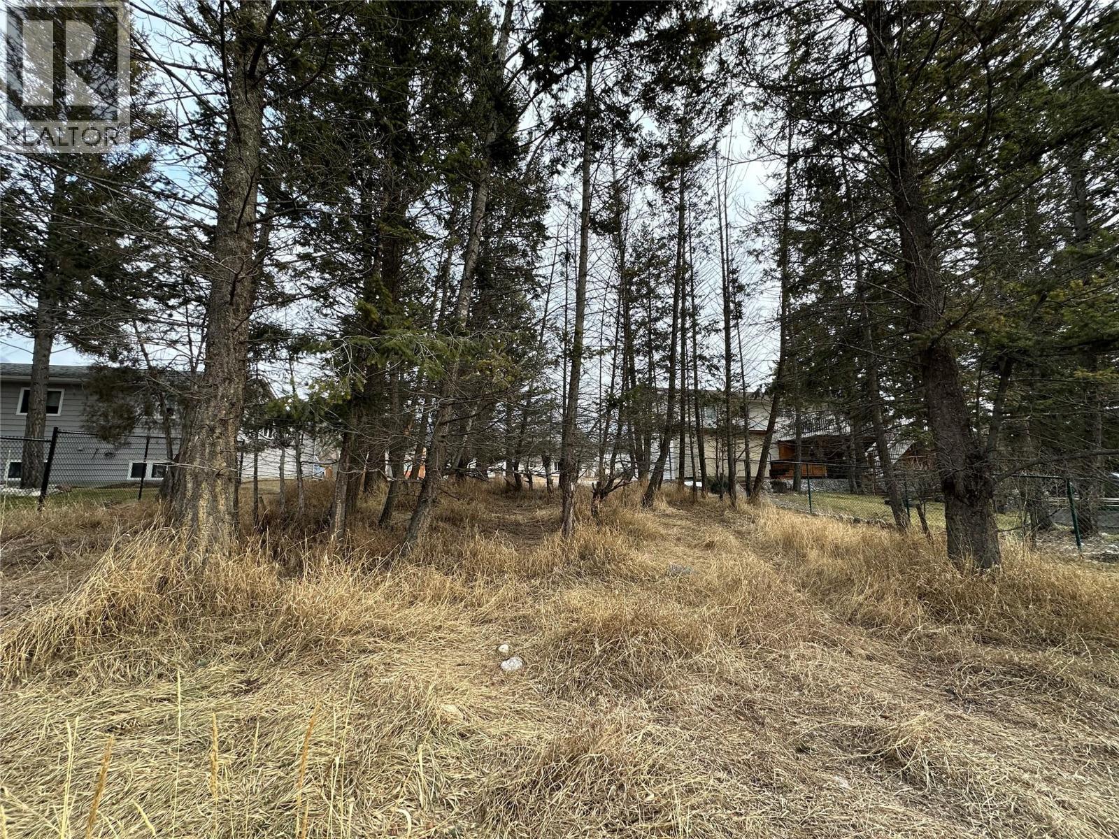 7495 Jackson Avenue, Radium Hot Springs, British Columbia  V0A 1M0 - Photo 5 - 10373781