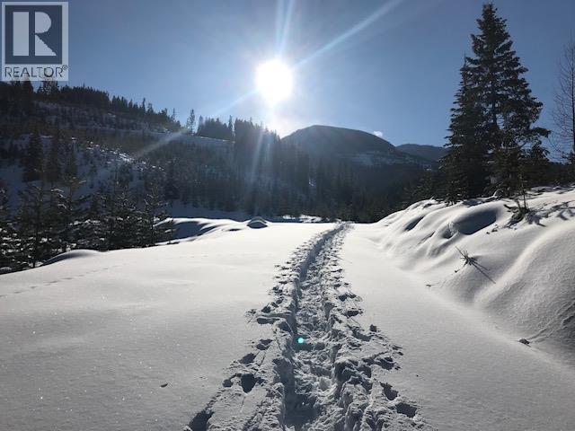2179 Trappers Way, Panorama, British Columbia  V0A 1T0 - Photo 4 - 10375055