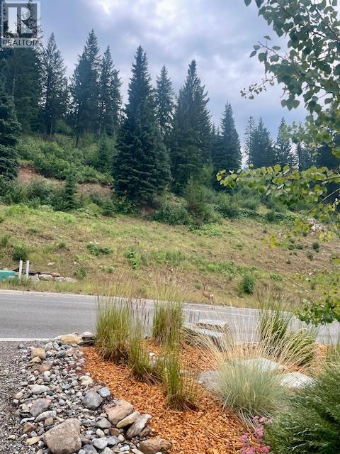 2179 Trappers Way, Panorama, British Columbia  V0A 1T0 - Photo 66 - 10375055