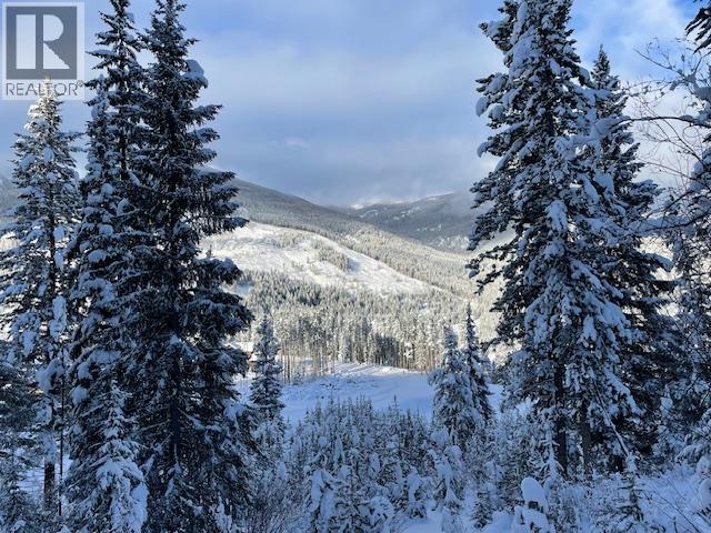 2179 Trappers Way, Panorama, British Columbia  V0A 1T0 - Photo 71 - 10375055