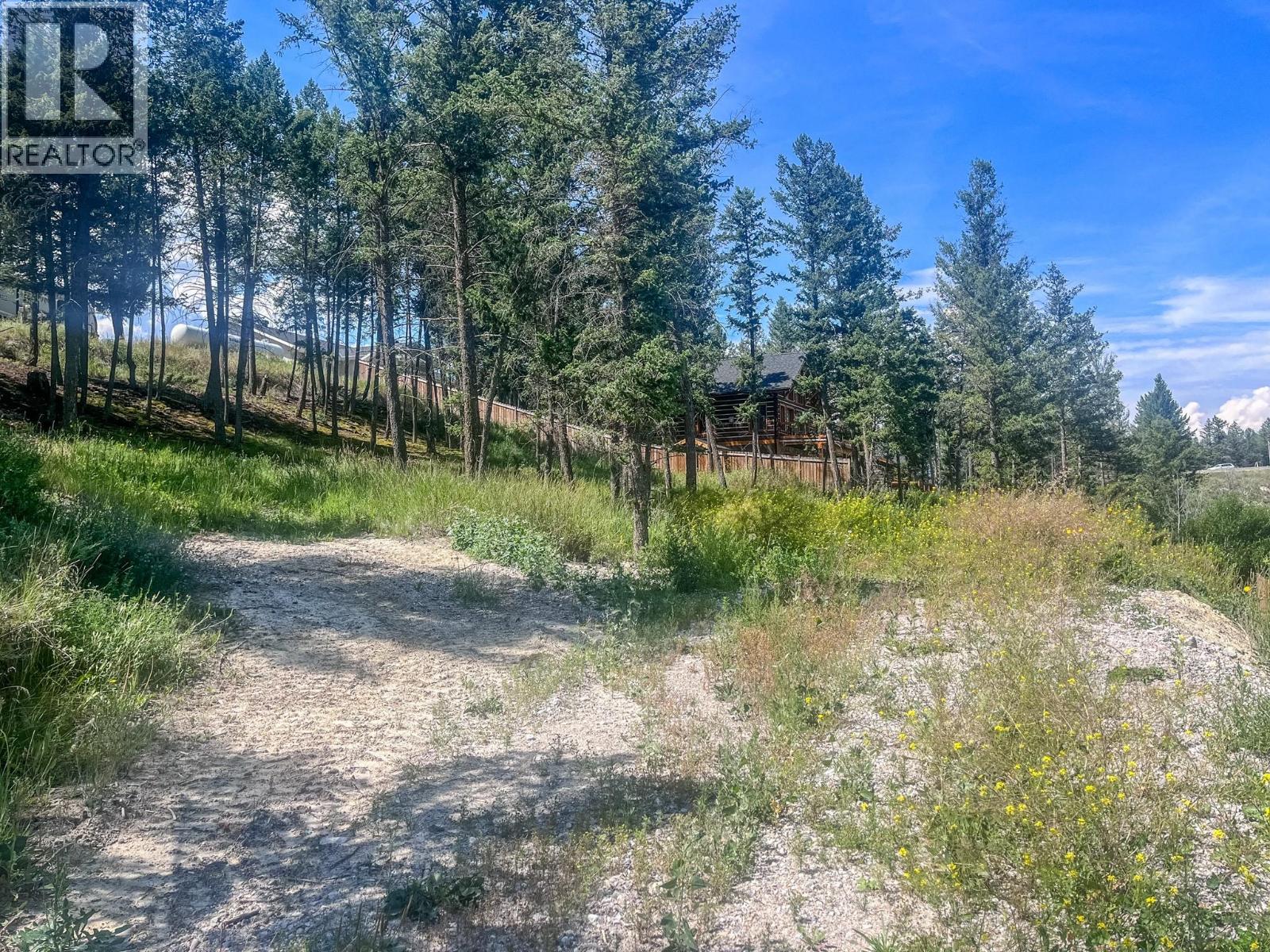 1049 Swansea Road, Invermere, British Columbia  V0A 1K3 - Photo 30 - 10375081