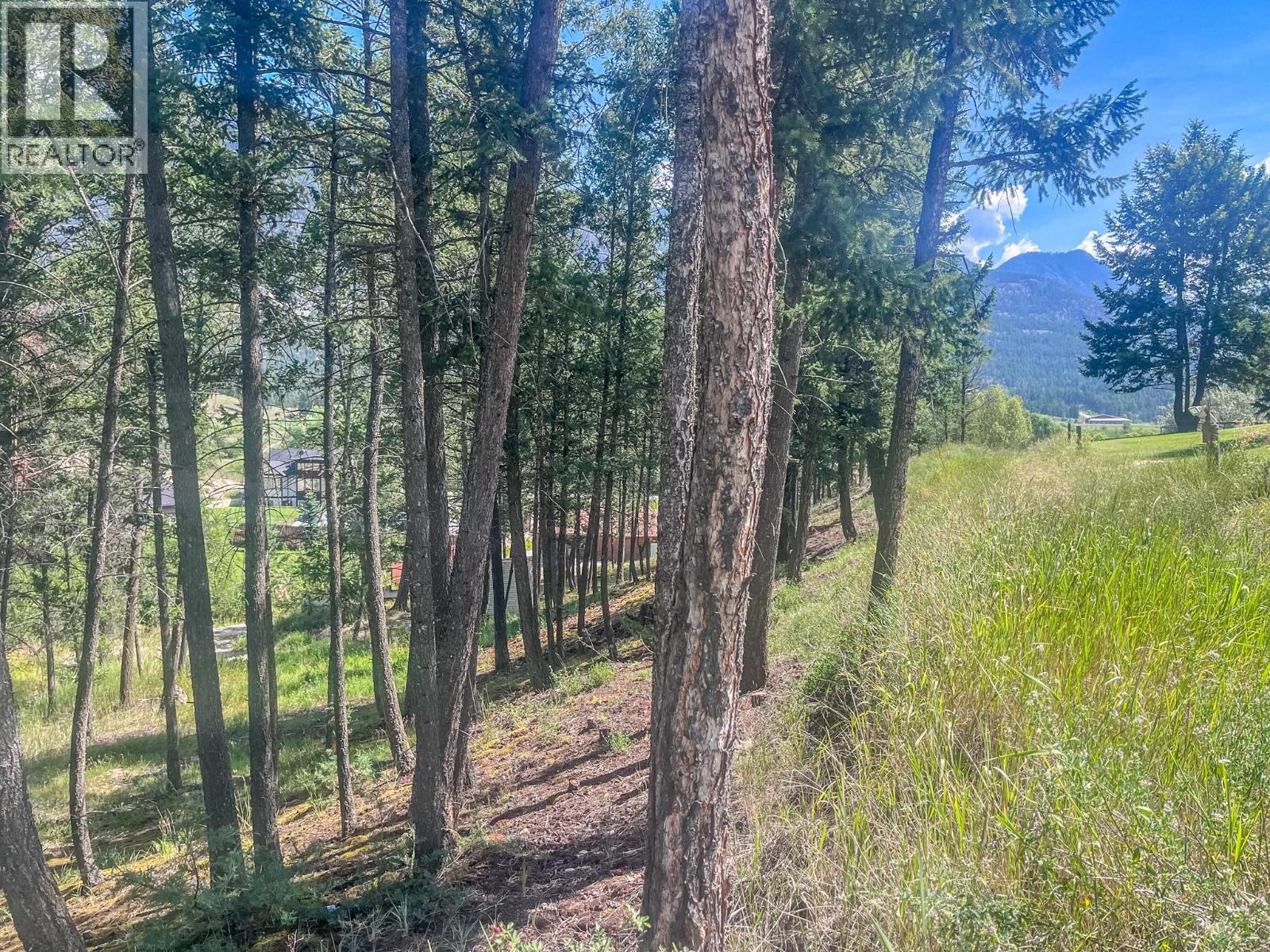 1049 Swansea Road, Invermere, British Columbia  V0A 1K3 - Photo 32 - 10375081