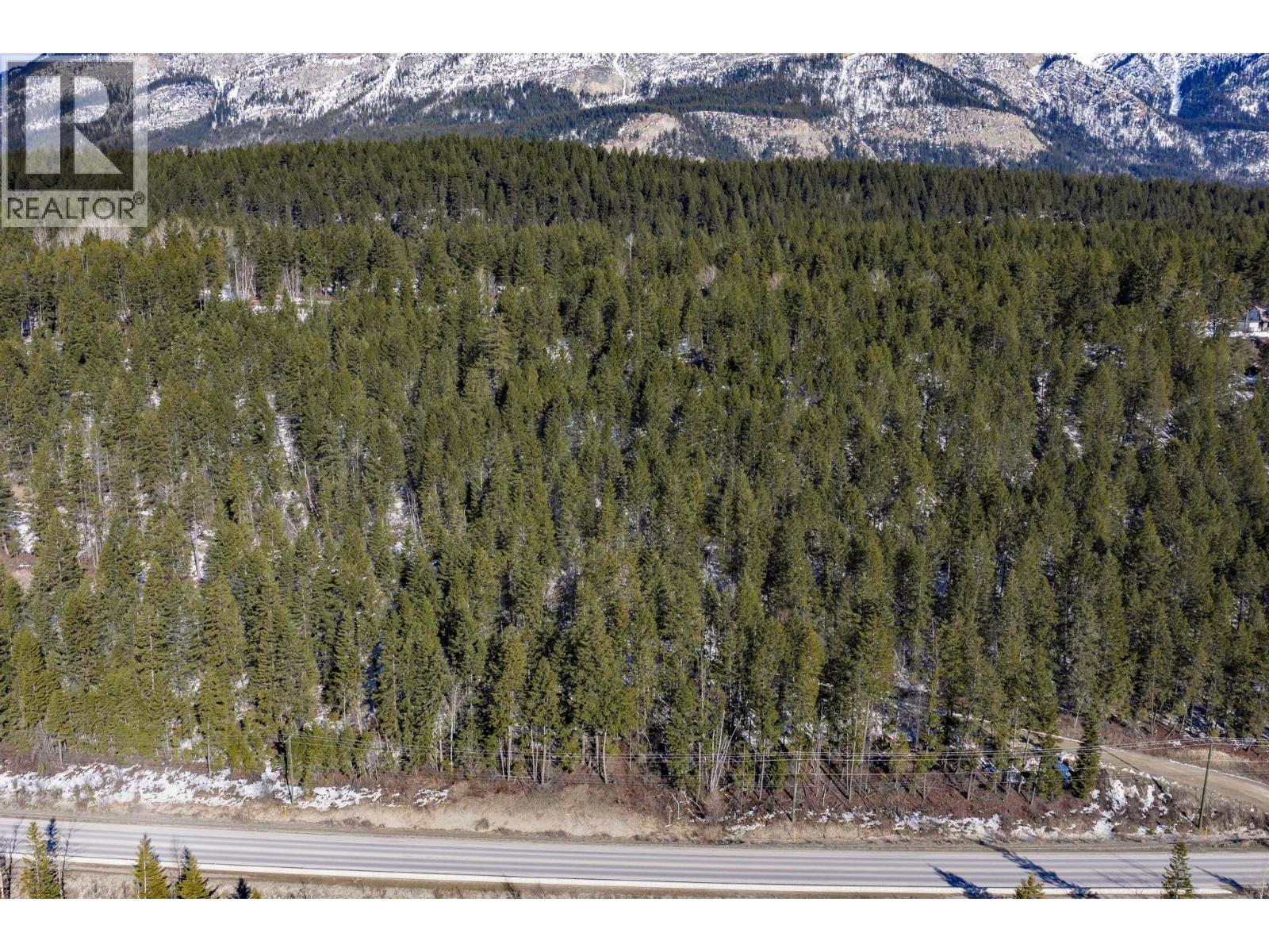 Lot 3 Schiesser Road, Golden, British Columbia  V0A 1H2 - Photo 21 - 10376017