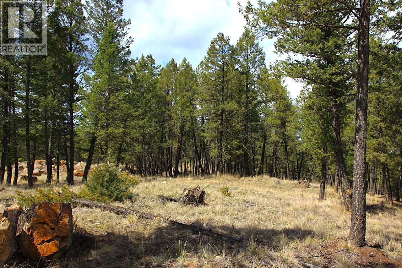 2476 Castlestone Drive, Invermere, British Columbia  V0A 1K6 - Photo 2 - 10375876