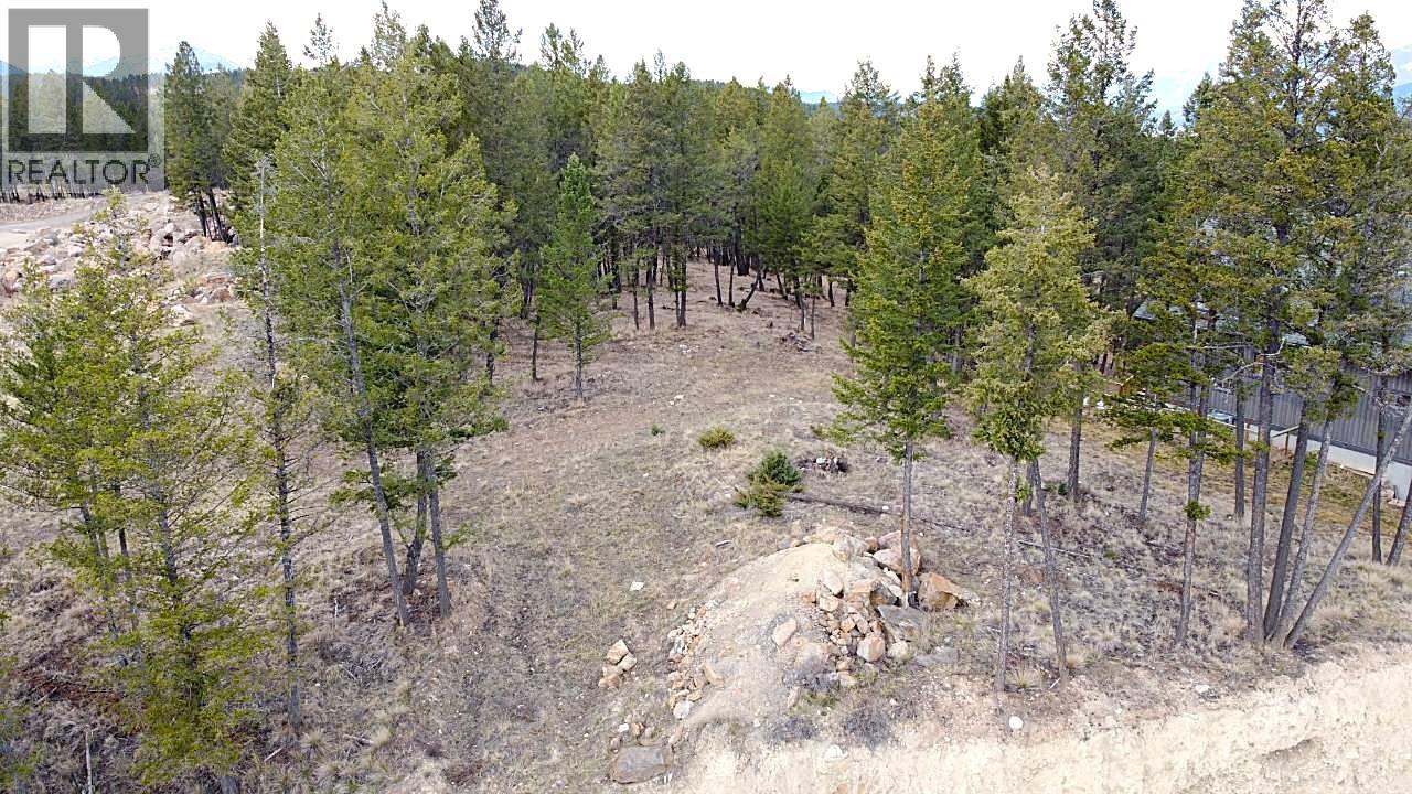 2476 Castlestone Drive, Invermere, British Columbia  V0A 1K6 - Photo 3 - 10375876