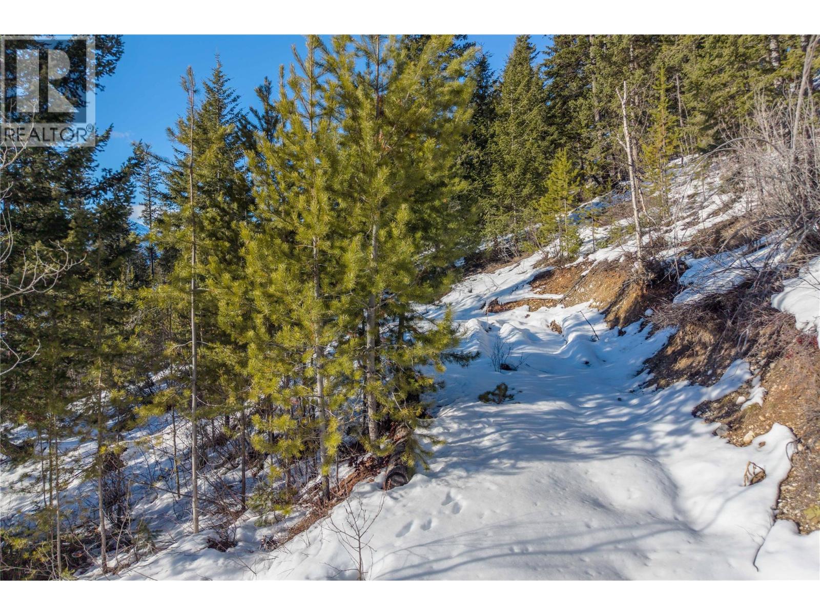 1488 Black Bear Drive Lot# 25, Golden, British Columbia  V0A 1H7 - Photo 21 - 10376064