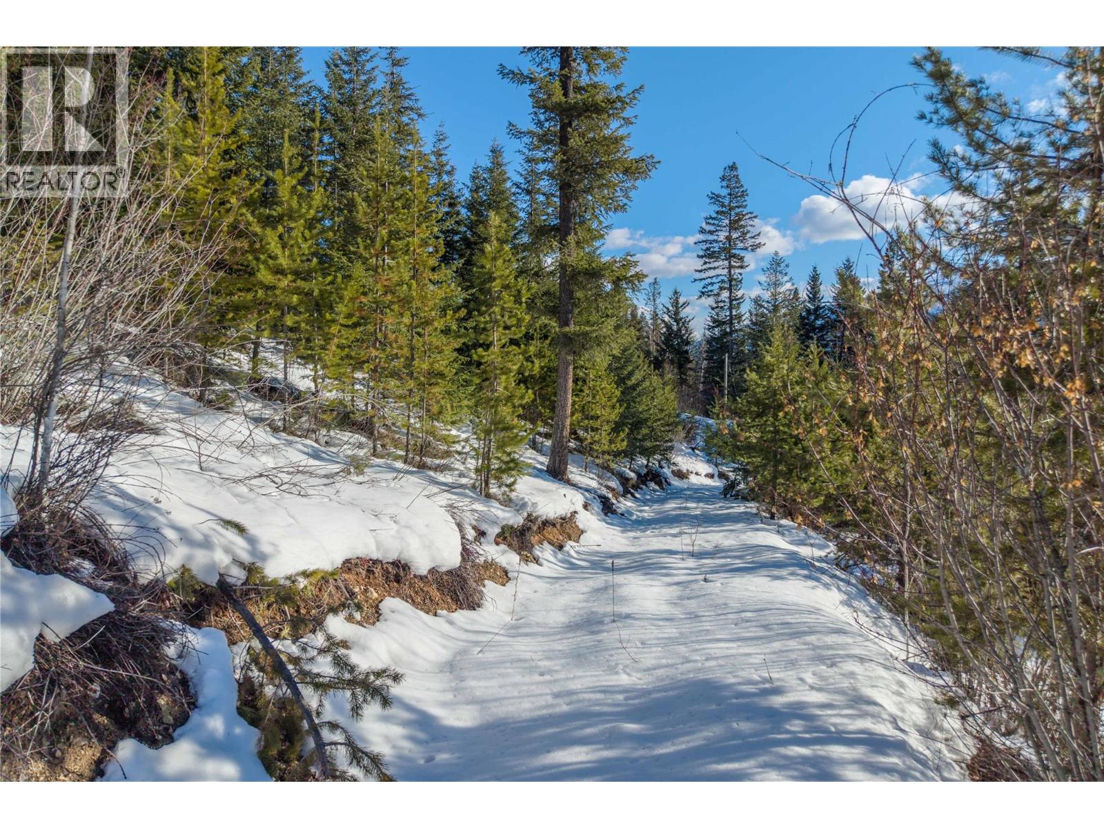 1488 Black Bear Drive Lot# 25, Golden, British Columbia  V0A 1H7 - Photo 23 - 10376064