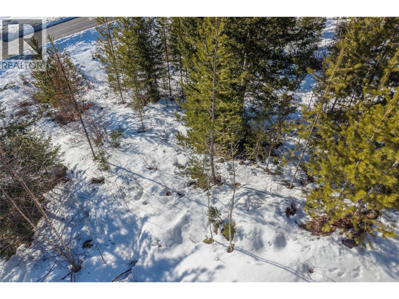 1488 Black Bear Drive Lot# 25, Golden, British Columbia  V0A 1H7 - Photo 26 - 10376064