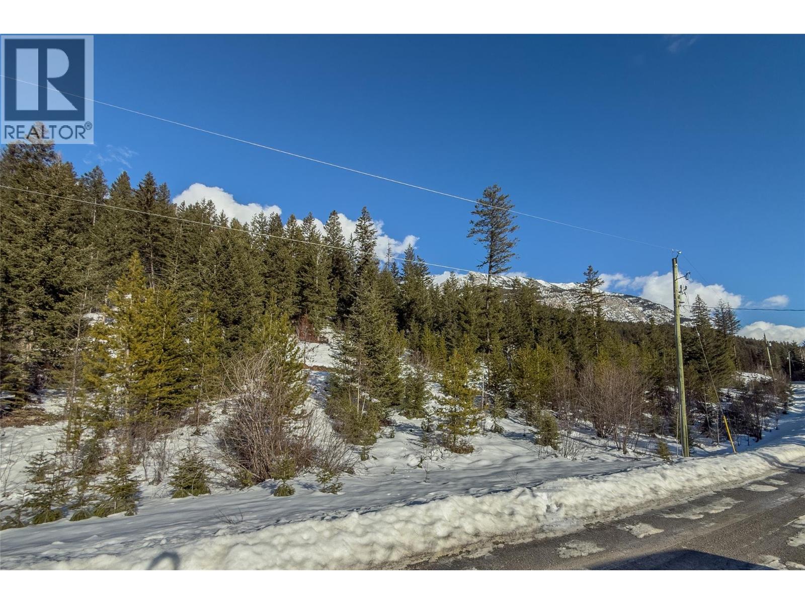1488 Black Bear Drive Lot# 25, Golden, British Columbia  V0A 1H7 - Photo 4 - 10376064