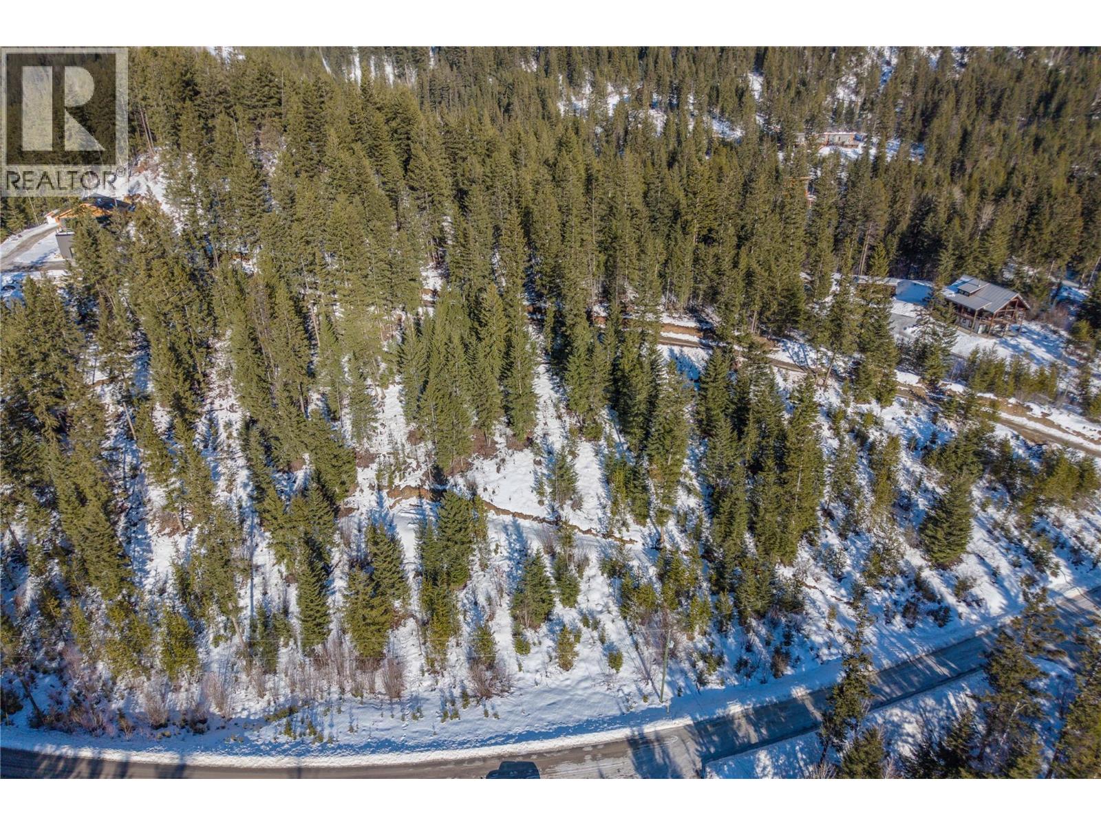 1488 Black Bear Drive Lot# 25, Golden, British Columbia  V0A 1H7 - Photo 6 - 10376064