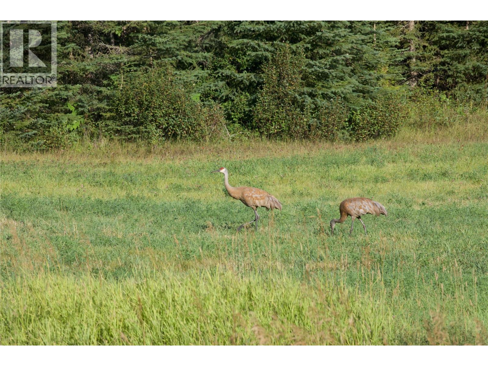 2550 Kettleston Road, Golden, British Columbia  V0A 1H1 - Photo 58 - 10377527