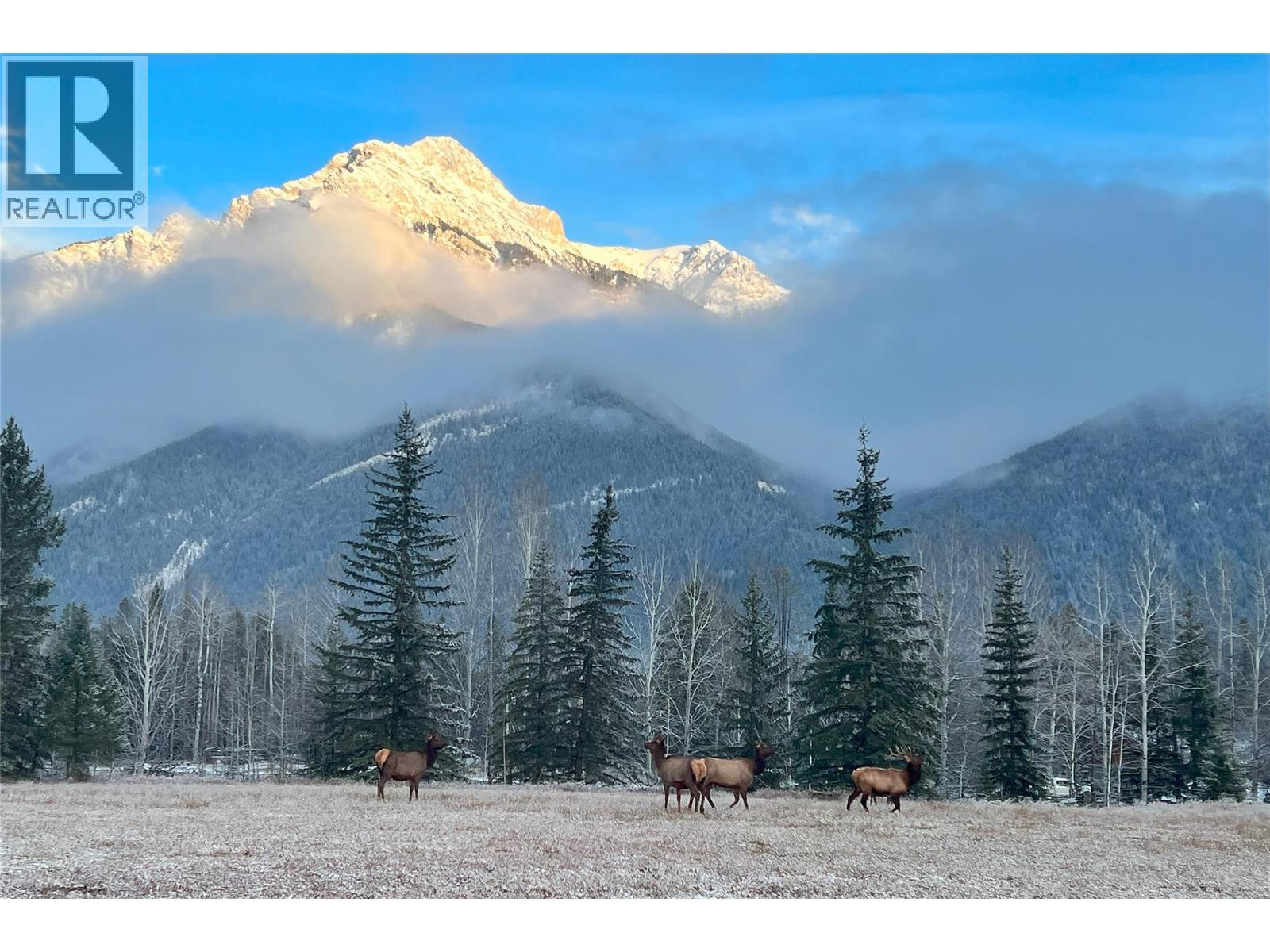 2550 Kettleston Road, Golden, British Columbia  V0A 1H1 - Photo 59 - 10377527