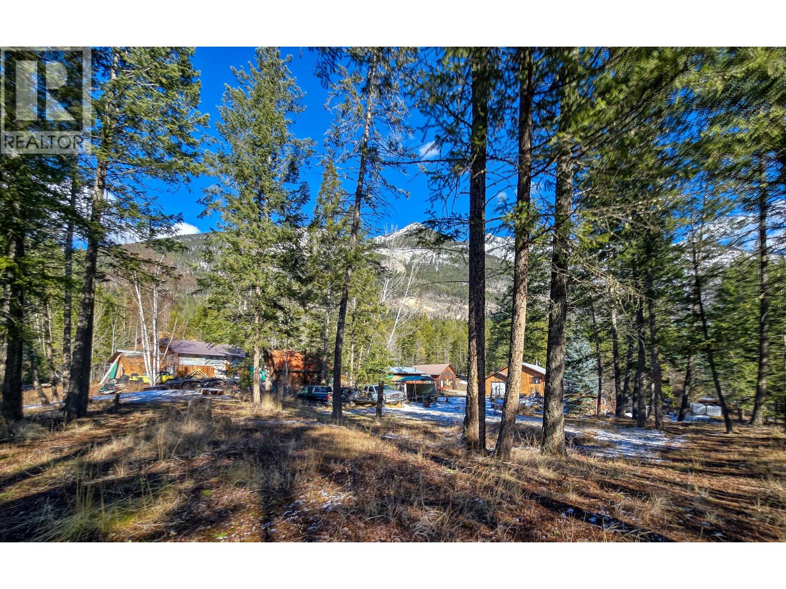 2837 Berrey Road, Brisco, British Columbia  V0A 1B0 - Photo 14 - 10377916