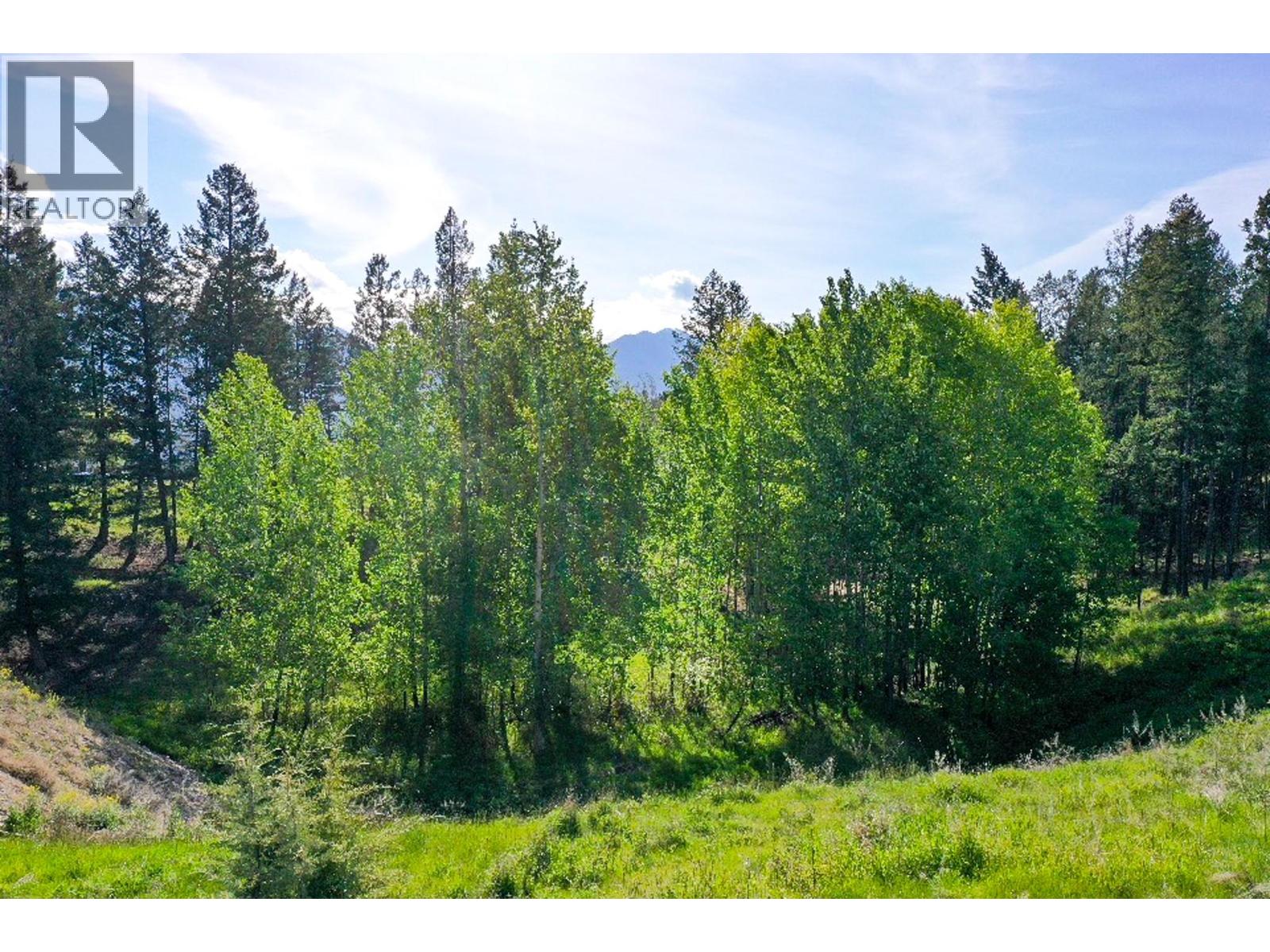 2161 Pinetree Place, Invermere, British Columbia  V0A 1K4 - Photo 8 - 10378481