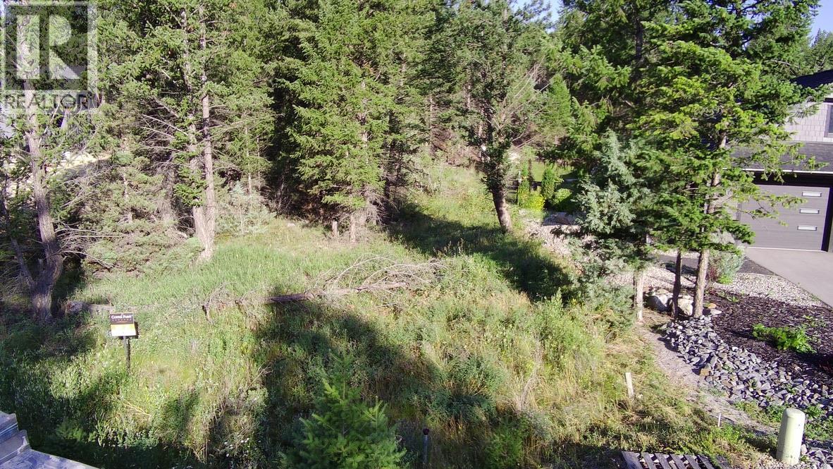 24 Cooper Road Lot# 24, Windermere, British Columbia  V0A 1K2 - Photo 2 - 10378817