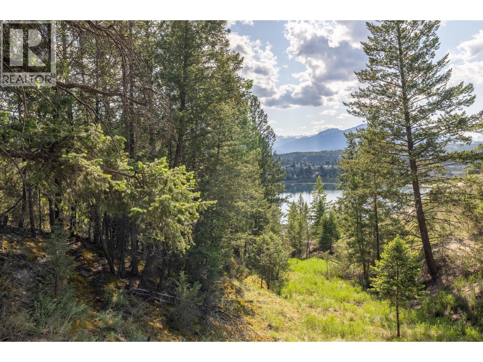 Lot 46 Upper Lakeview Road, Invermere, British Columbia  V0A 1K3 - Photo 10 - 10379530