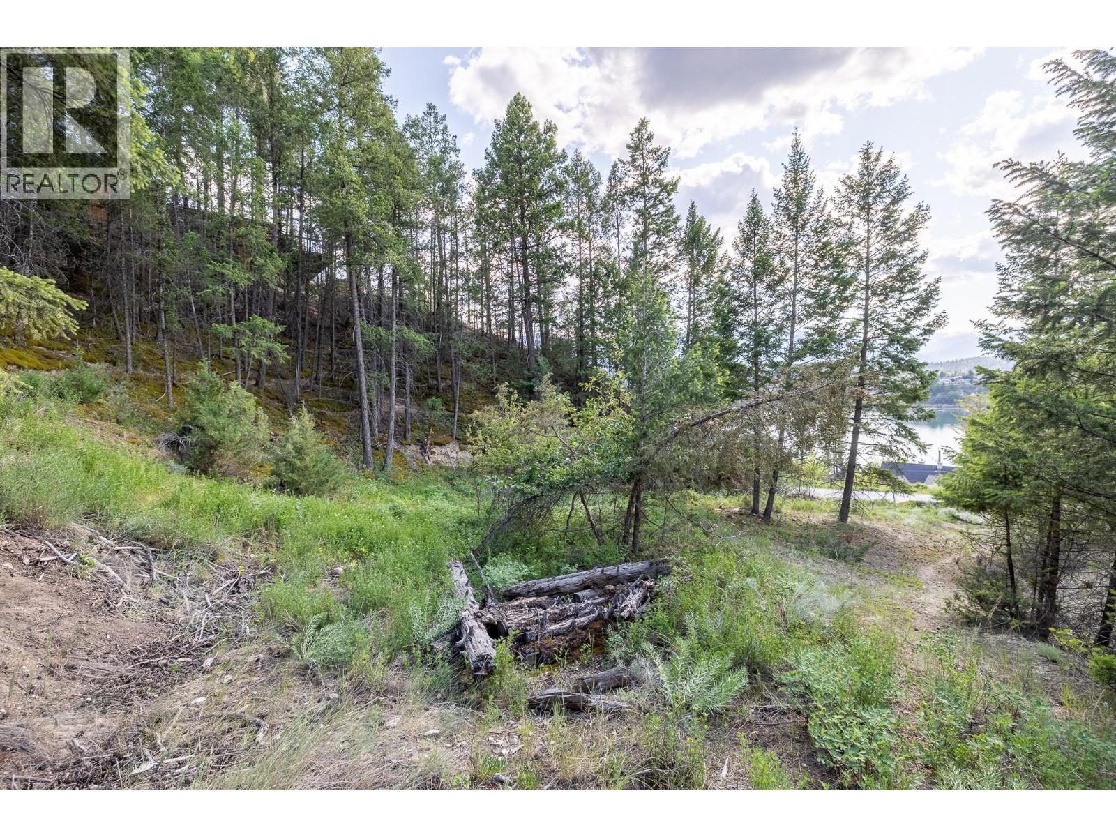 Lot 46 Upper Lakeview Road, Invermere, British Columbia  V0A 1K3 - Photo 11 - 10379530
