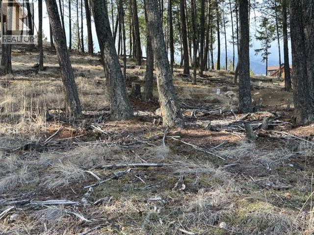 2520 Cobblestone Circle, Invermere, British Columbia  V0A 1K4 - Photo 5 - 10379781