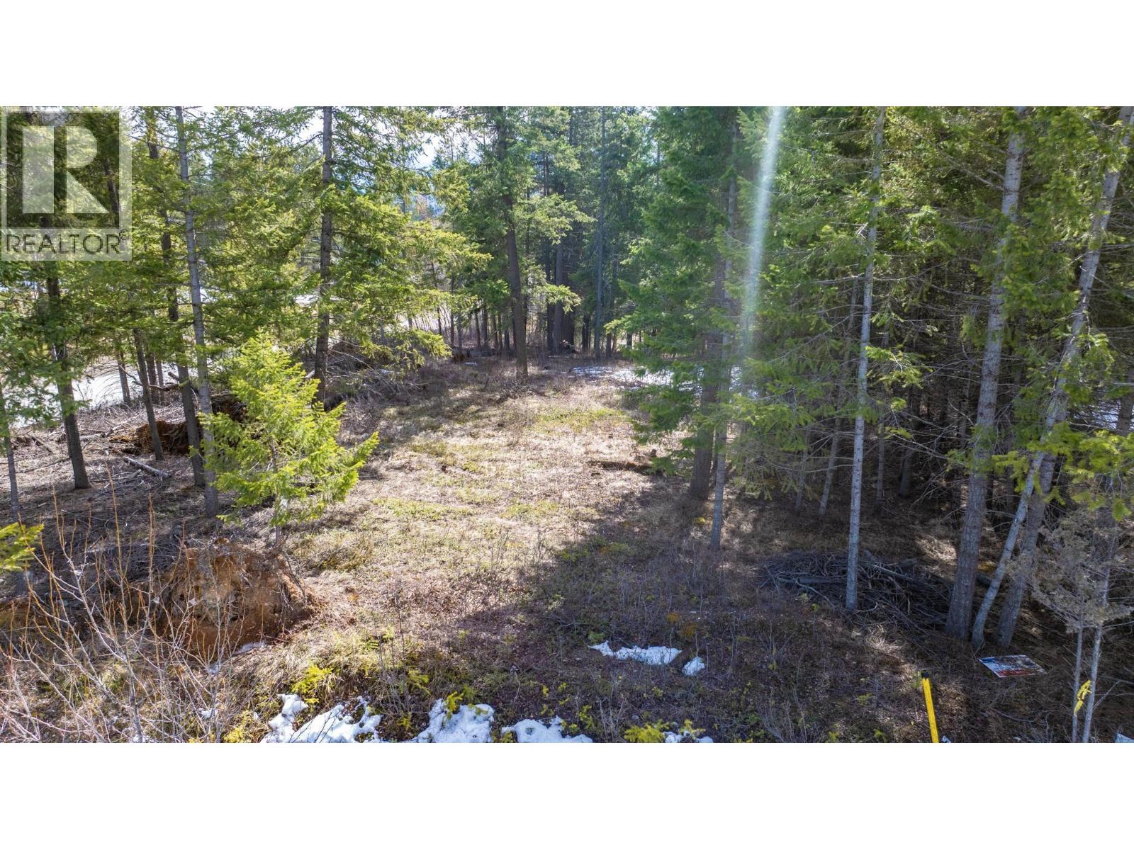 1400 Pine Drive, Golden, British Columbia  V0A 1H1 - Photo 12 - 10379950