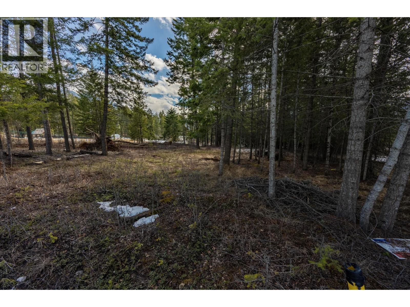 1400 Pine Drive, Golden, British Columbia  V0A 1H1 - Photo 16 - 10379950