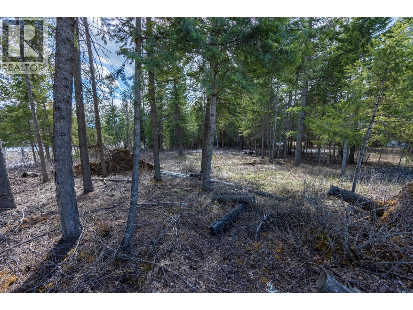 1400 Pine Drive, Golden, British Columbia  V0A 1H1 - Photo 17 - 10379950