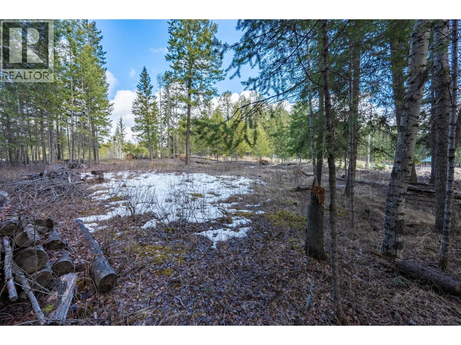 1400 Pine Drive, Golden, British Columbia  V0A 1H1 - Photo 18 - 10379950