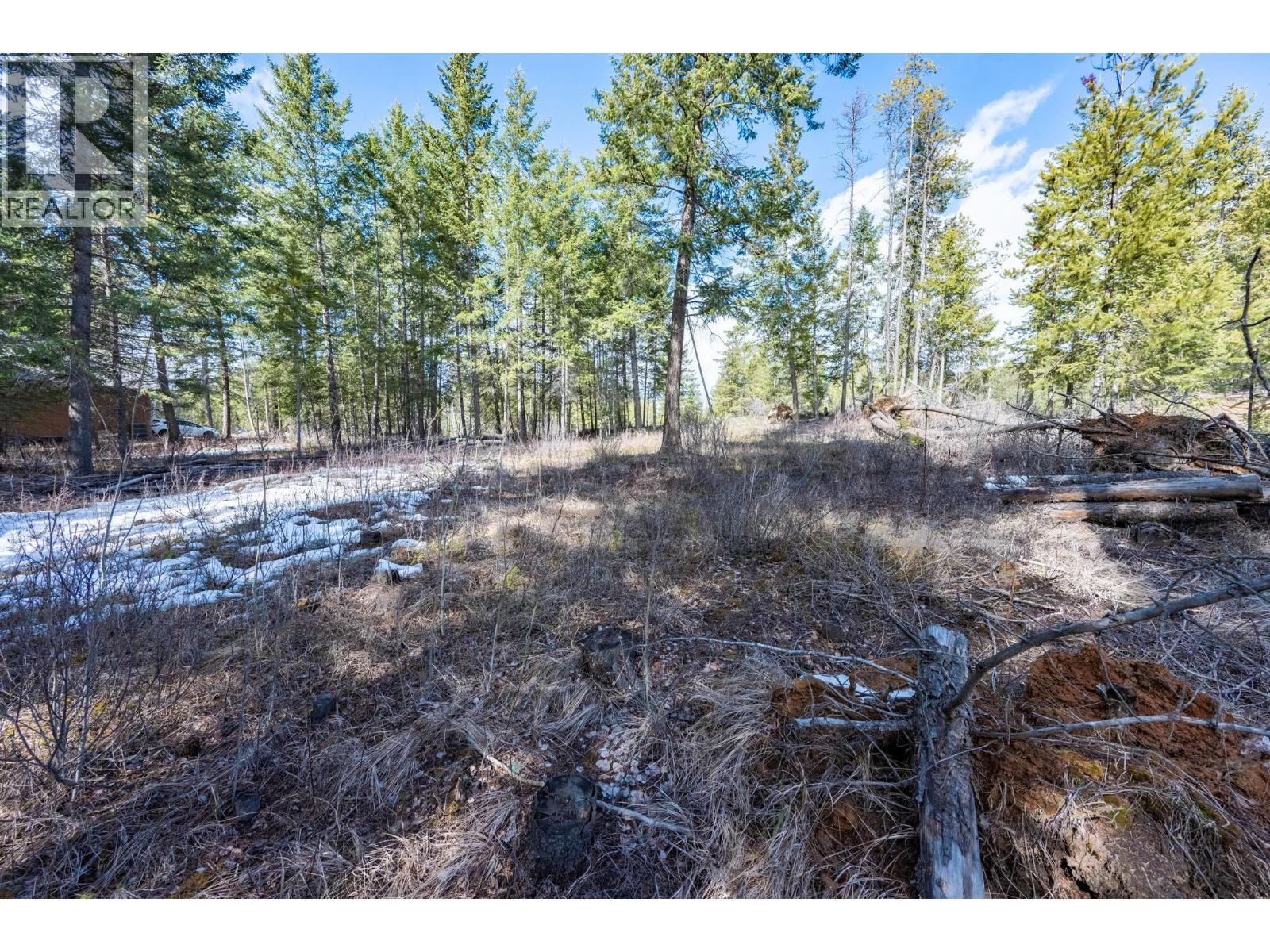 1400 Pine Drive, Golden, British Columbia  V0A 1H1 - Photo 19 - 10379950