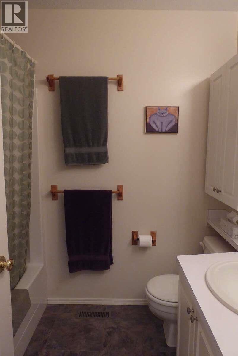 1510 Cedar Street, Golden, British Columbia  V0A 1H6 - Photo 23 - 10380010