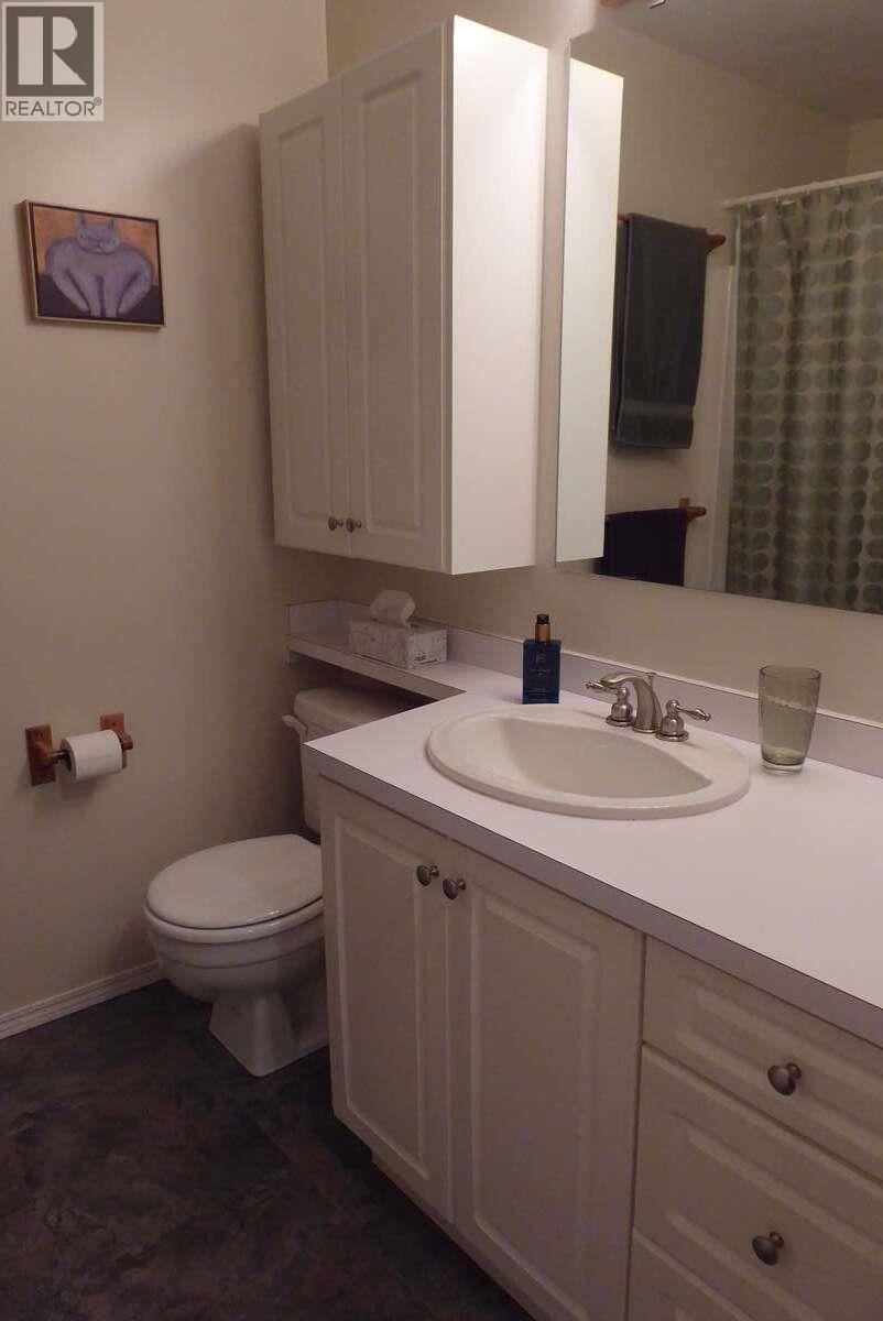 1510 Cedar Street, Golden, British Columbia  V0A 1H6 - Photo 24 - 10380010