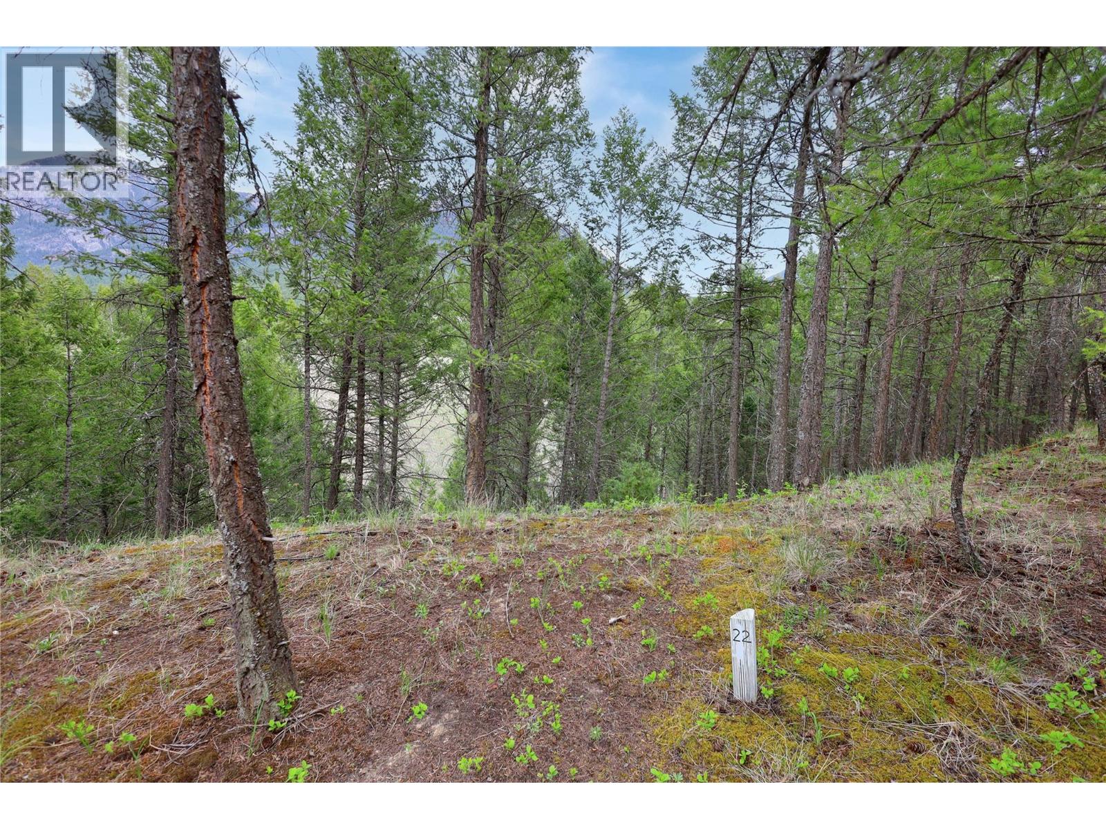 4862 Lynx Drive, Radium Hot Springs, British Columbia  V0A 1M0 - Photo 28 - 10380522