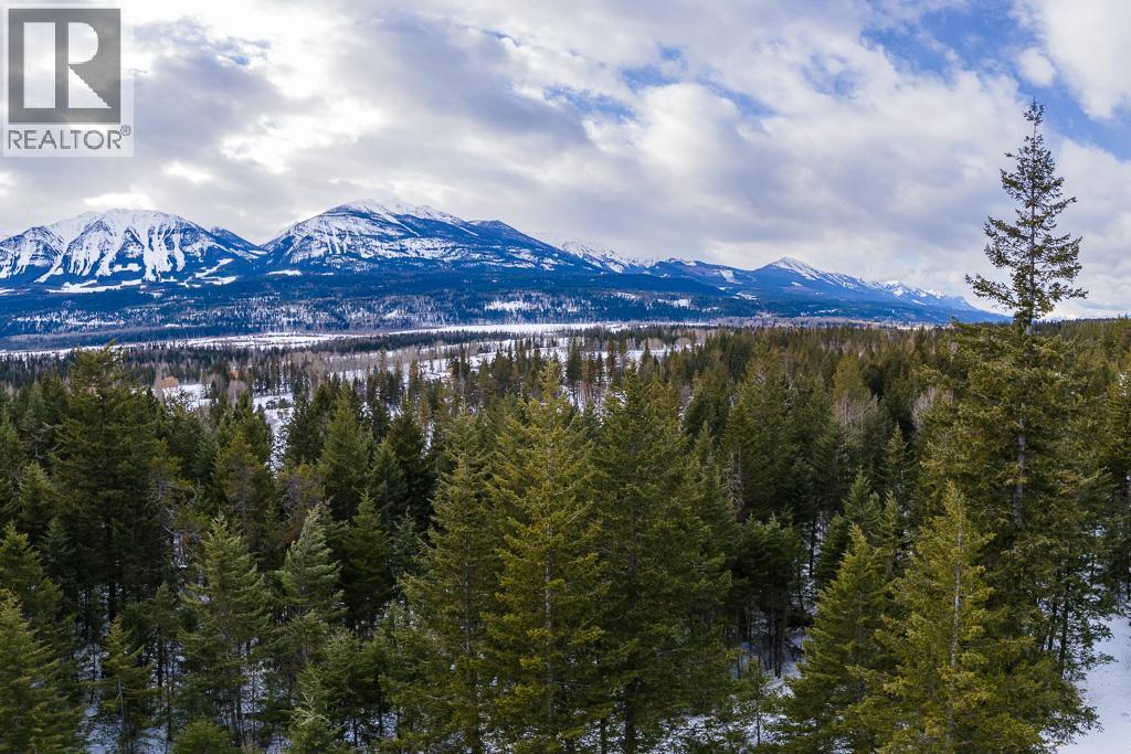 1260 Whitetail Drive, Golden, British Columbia  V0A 1H7 - Photo 3 - 10380602