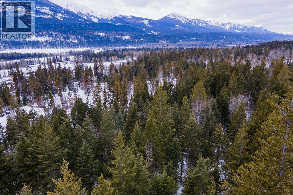 1260 Whitetail Drive, Golden, British Columbia  V0A 1H7 - Photo 5 - 10380602