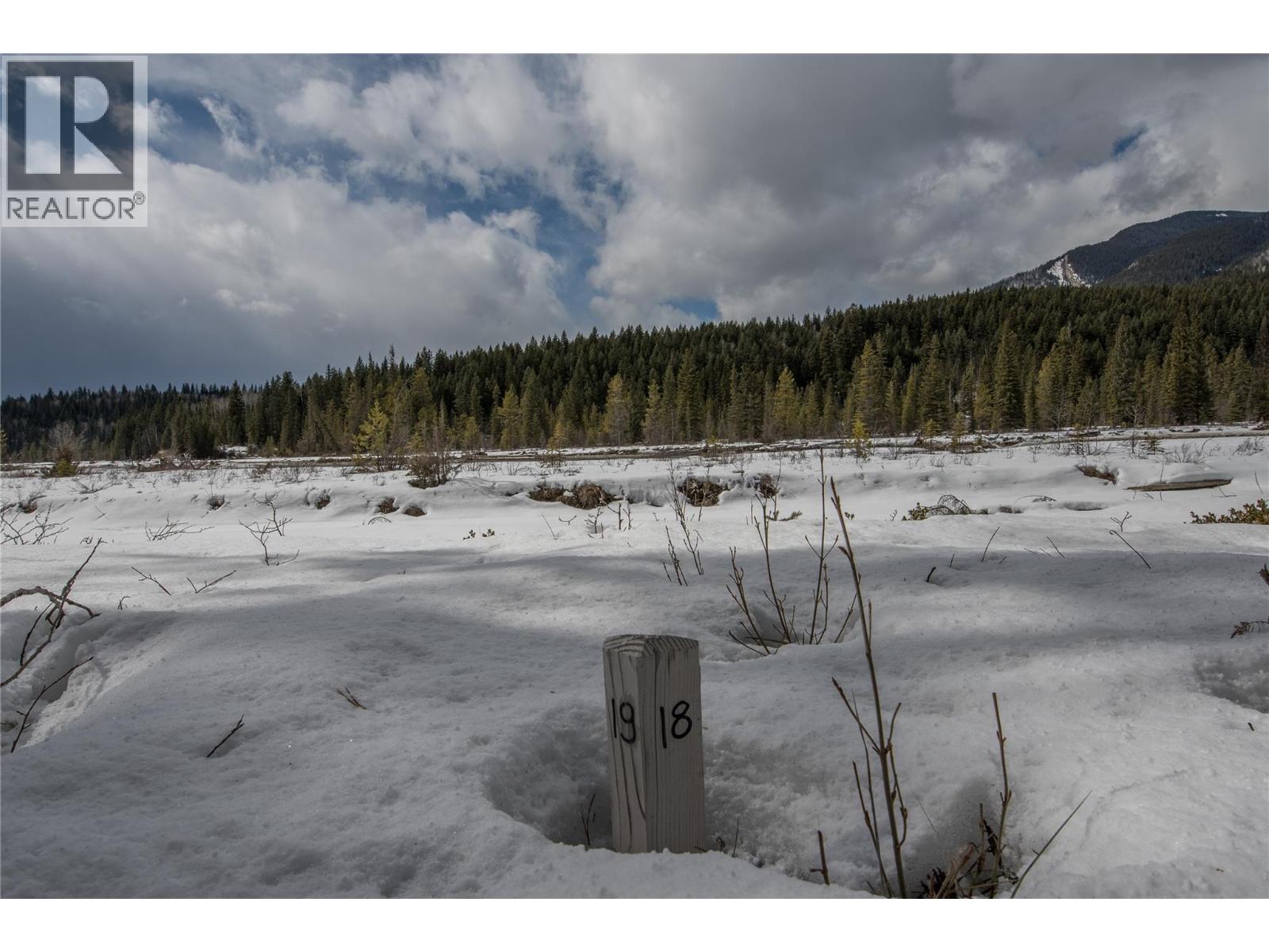 2325 Hedges Road, Golden, British Columbia  V0A 1H1 - Photo 15 - 10380971