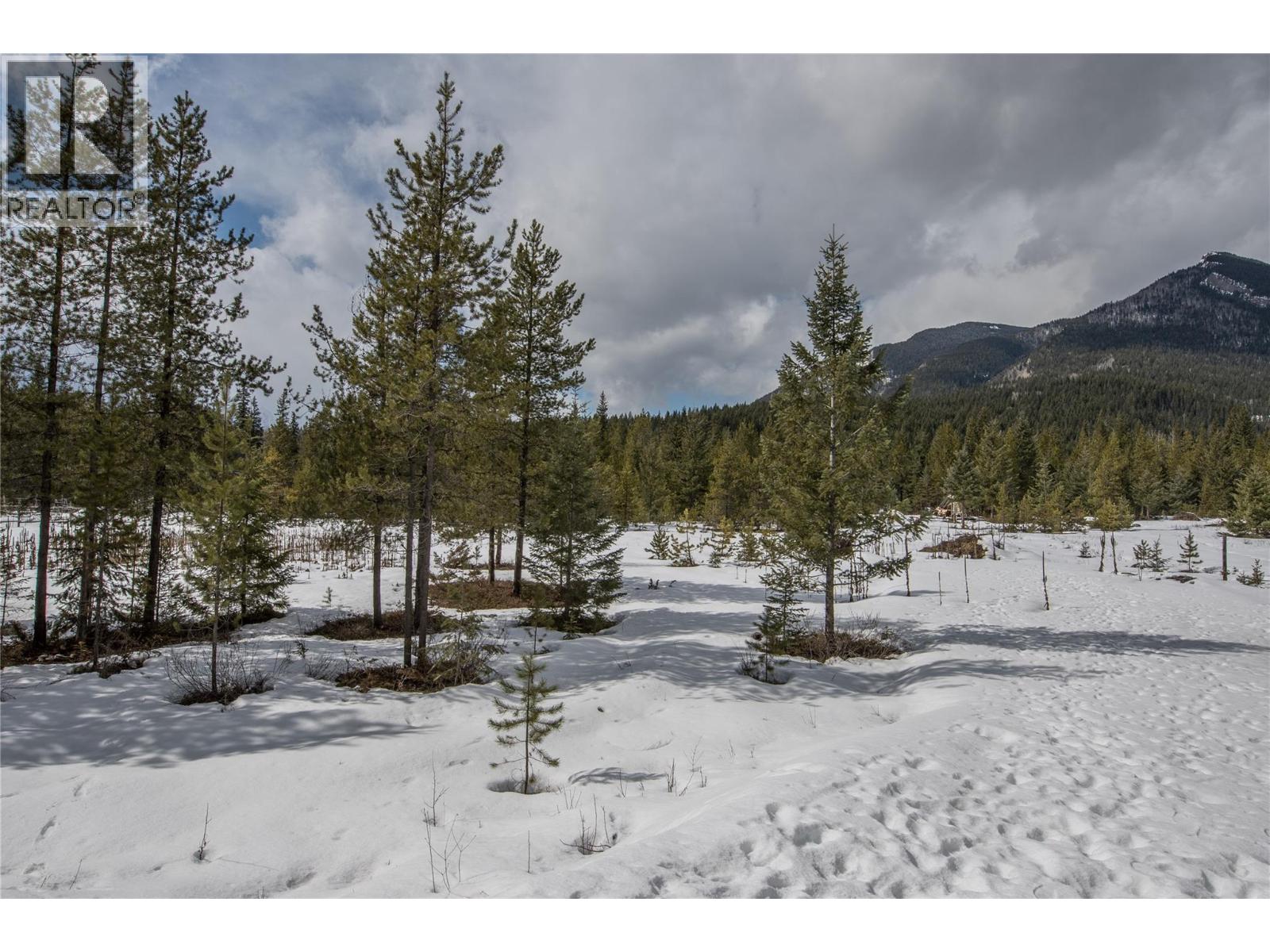 2325 Hedges Road, Golden, British Columbia  V0A 1H1 - Photo 29 - 10380971