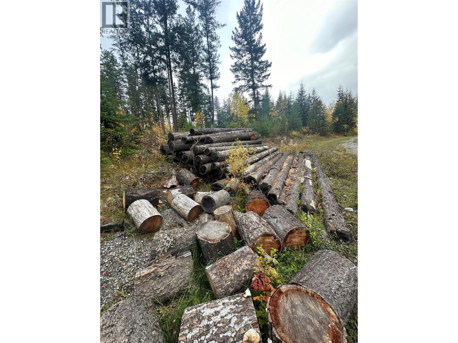 787 Golden Donald Upper Road, Golden, British Columbia  V0A 1H1 - Photo 36 - 10380251